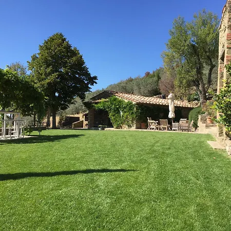 Pomona Cortona